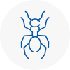Ant Removals In Guiseley