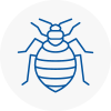 Bed Bug Extermination In Guiseley