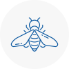 Bee Nest Removal Guiseley