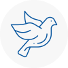 Bird Prevention Guiseley