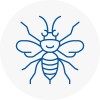 Guiseley Hornet Nest Removals