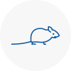 Mice Exterminators In Guiseley