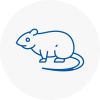 Rat Control Guiseley