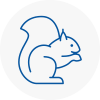 Guiseley Rodent Removals